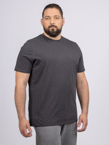 Tee-shirt Louis Col Rond Anthracite Capel Grande Taille