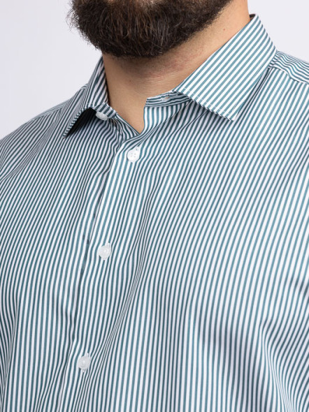 Chemise Rayée Max Capel Grande Taille