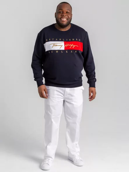 Sweat Zippe Tommy Hilfiger Grandes Tailles homme grande taille - Capelstore